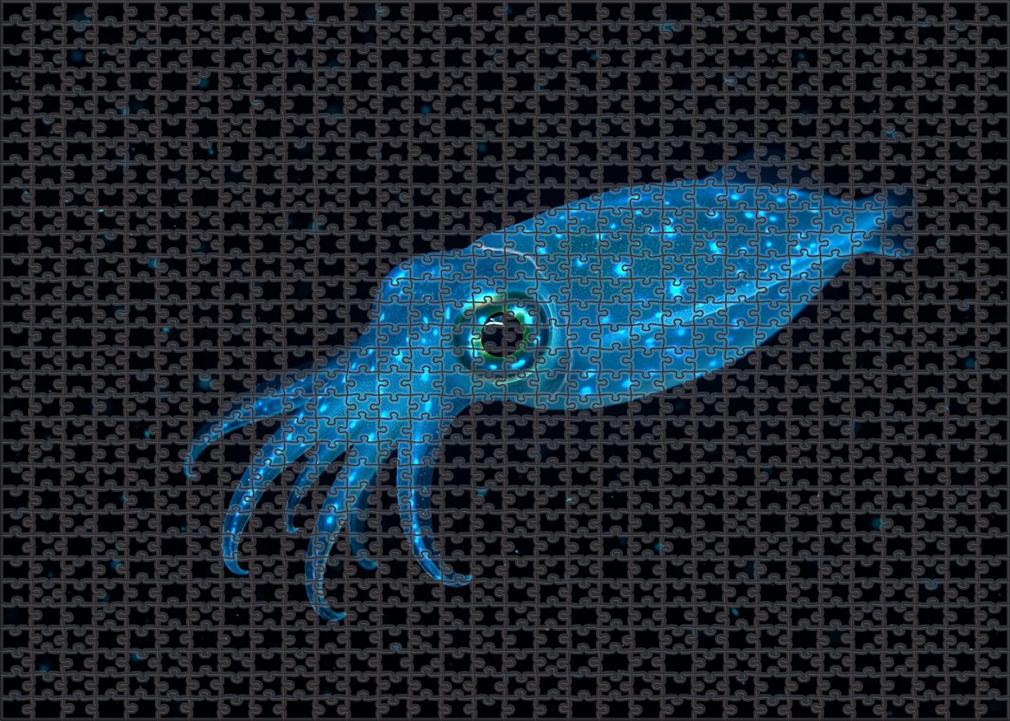 Glowing Phantom Squid Translucent Deep-sea Enigma Challenging Puzzles