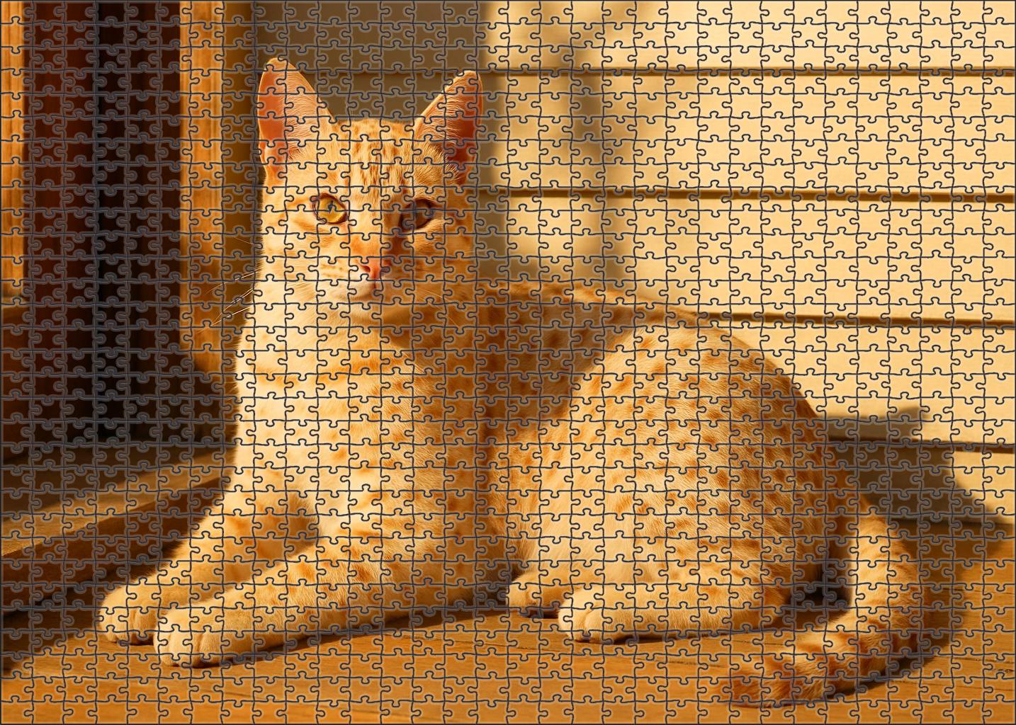 Golden Dapple Unique Cream-colored Cat With Delicate Spotting And Friendly Nature Puzzle Fun