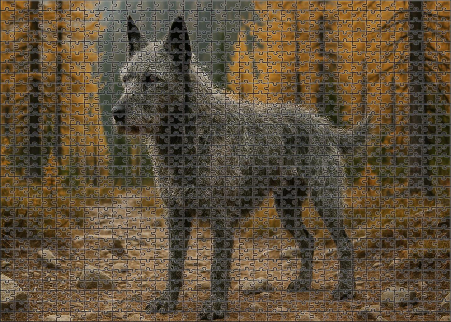 Silver Larch Puzzle Fun