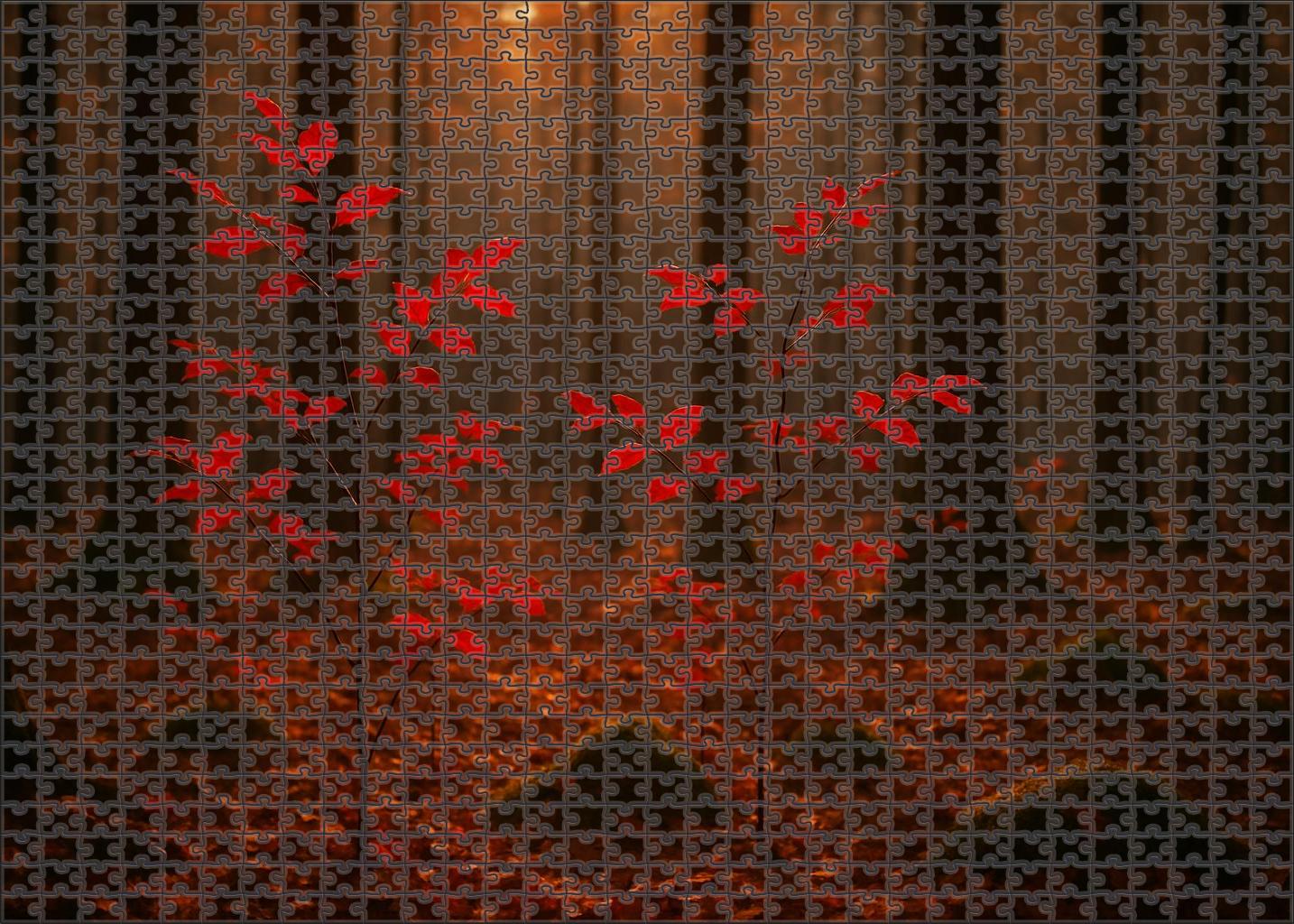 Crimson Hollow 100 Piece Puzzle