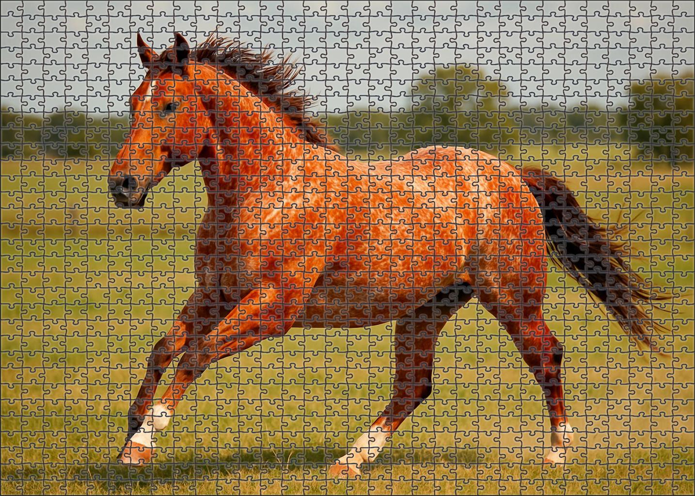 Copper Ember Quarter Horse Athletic Red Roan Gelding With Ground Covering Stride Custom Jigsaw Puzzle