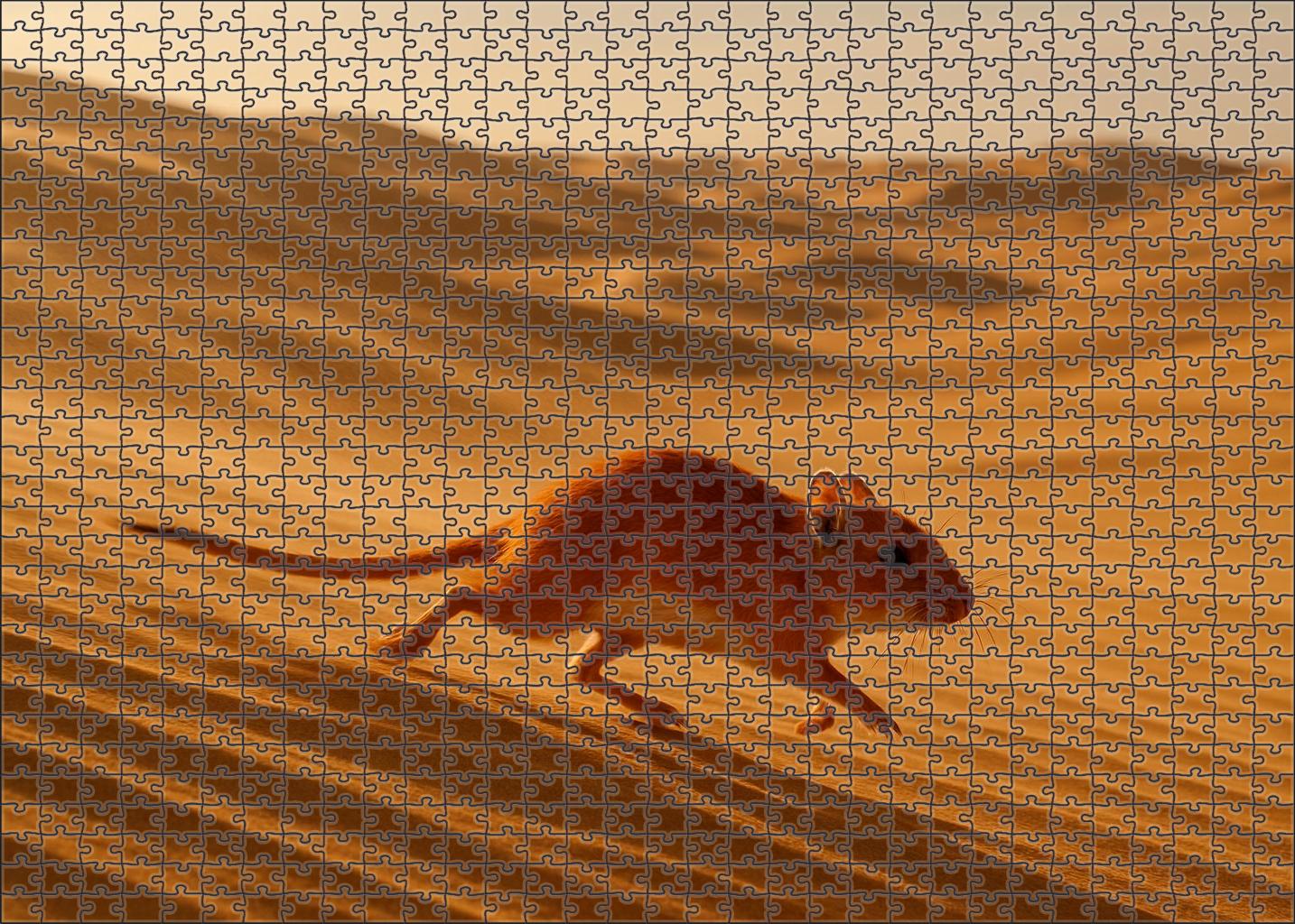 Vermilion Dust Runner Swift Desert Rodent With Streamlined Form And Burrowing Skills Premium Puzzle Pieces