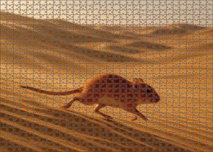 Vermilion Dust Runner Swift Desert Rodent With Streamlined Form And Burrowing Skills Premium Puzzle Pieces