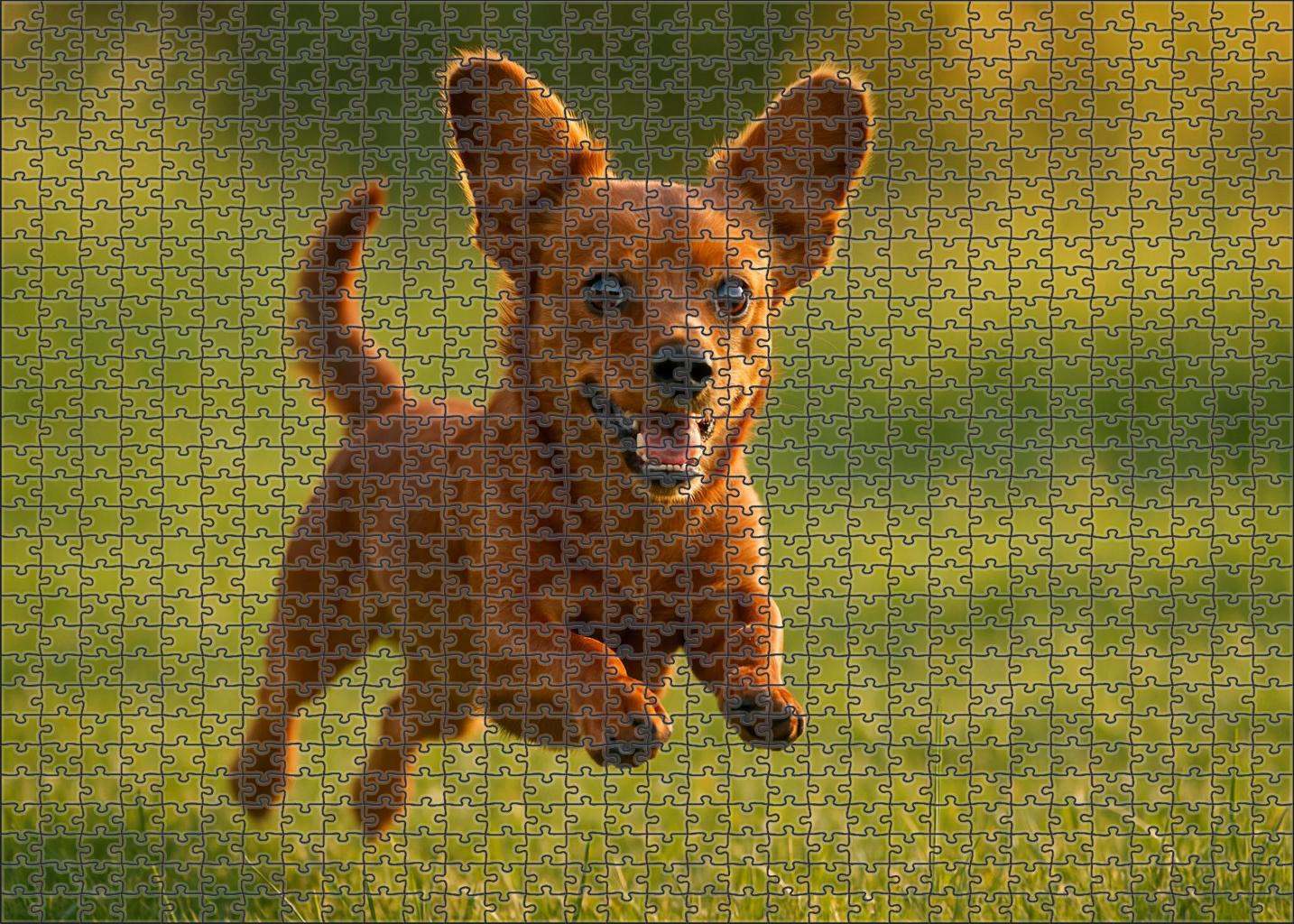Silken Ember 100 Piece Puzzle