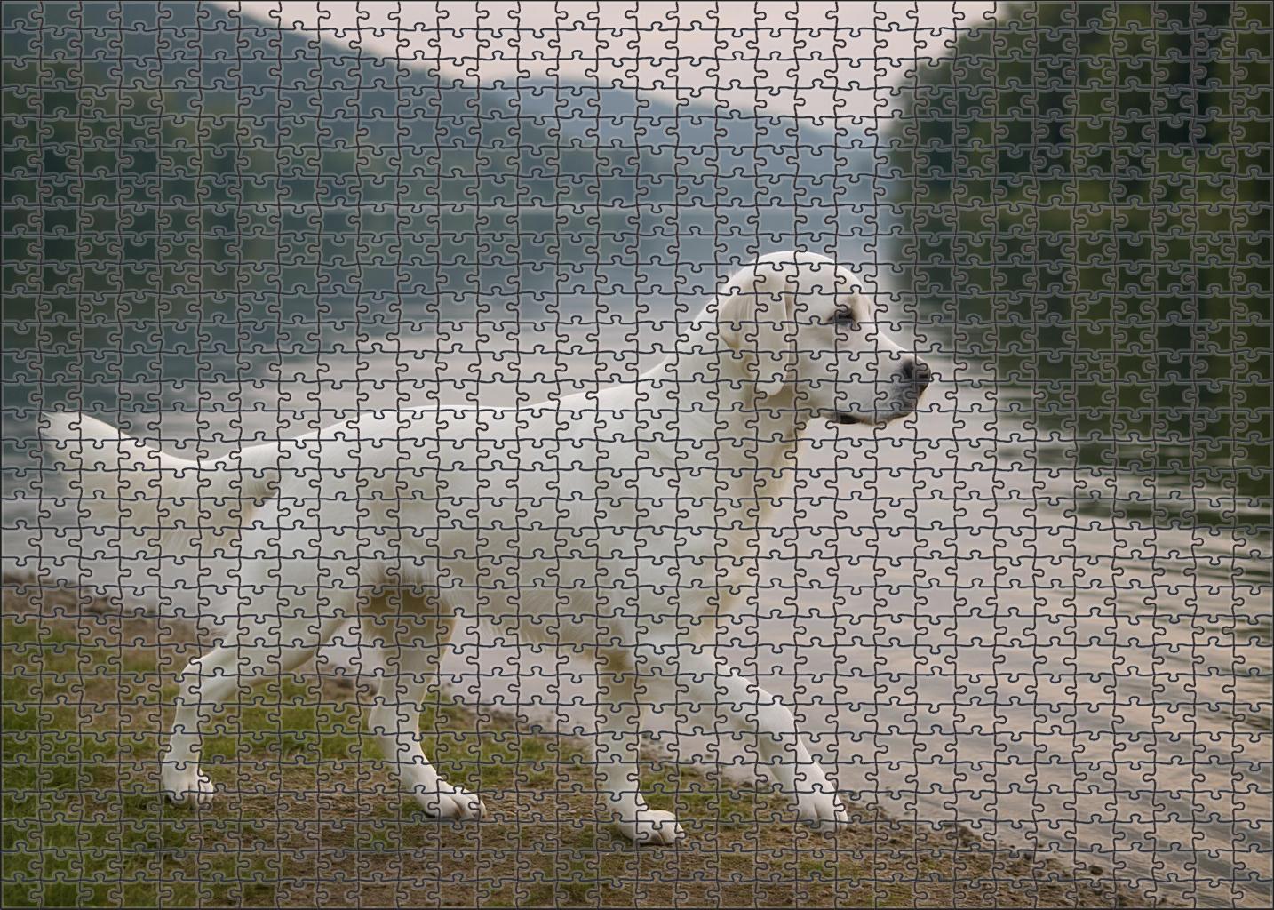 Dusky Pearl Retriever 500 Piece Puzzle