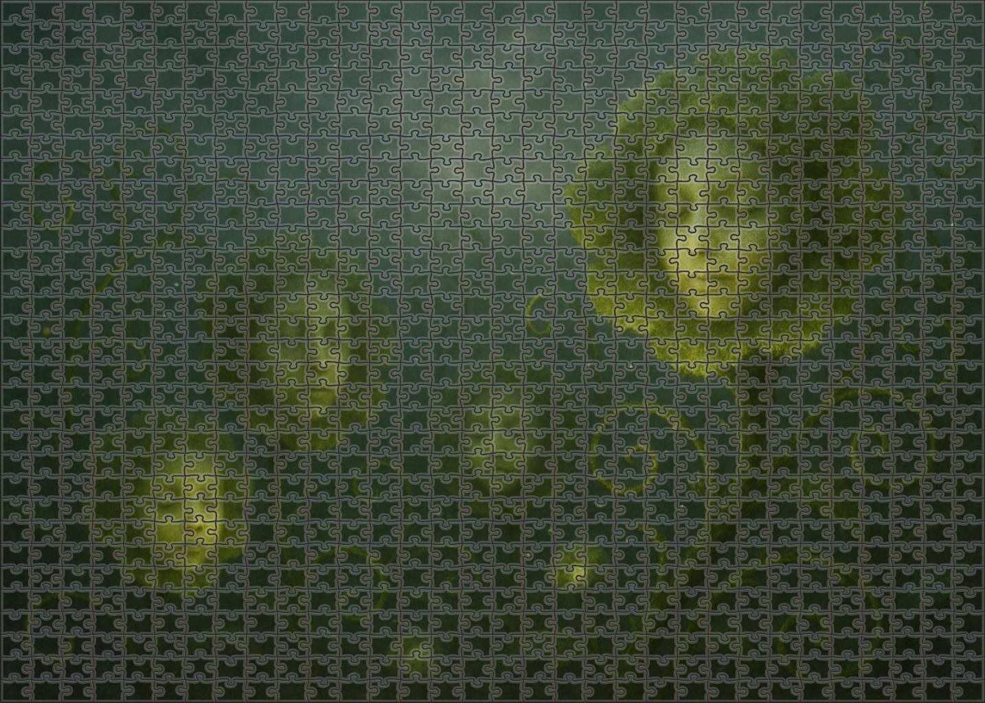 The Whispering Garden Plants With Faces Murmuring Secrets Custom Jigsaw Puzzle