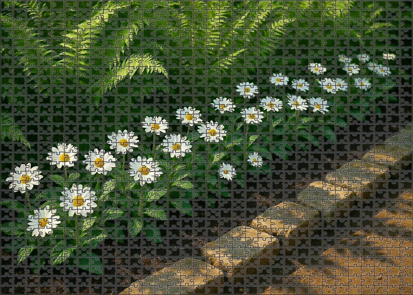 Whispering Fern And Daisy Border 200 Piece Puzzle