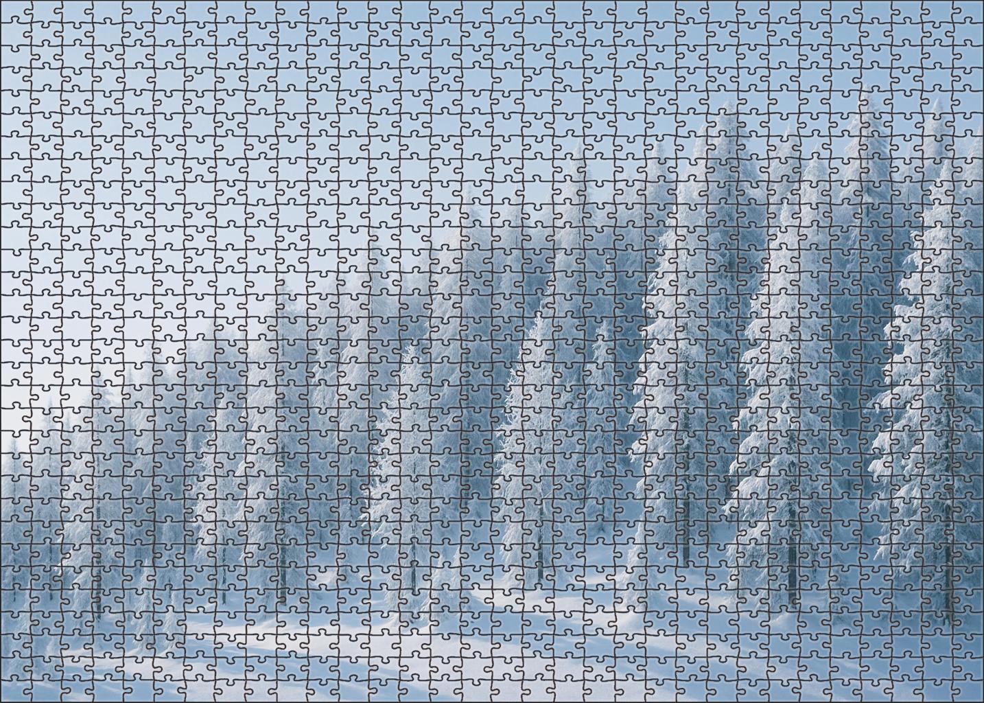 Winter Pine Ridge Premium Puzzle Pieces