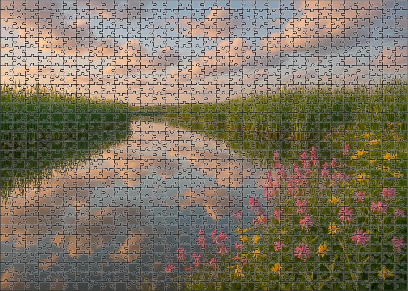 Celestial Marshlands Puzzle For Kids