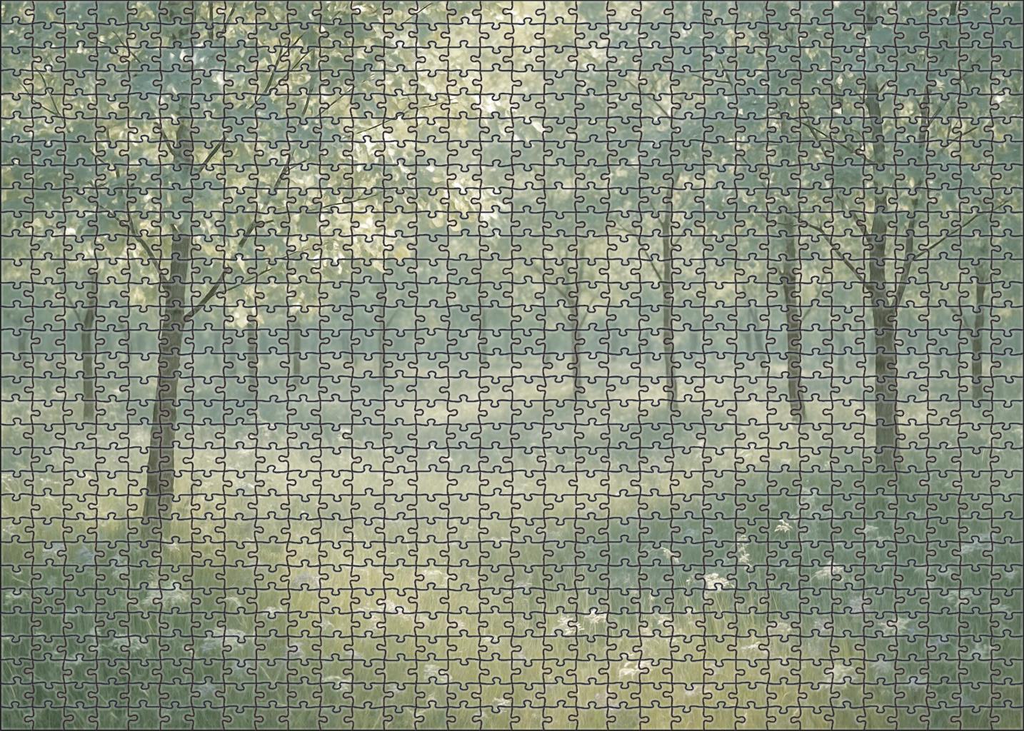 Silver Leaf Glade Easy Puzzles