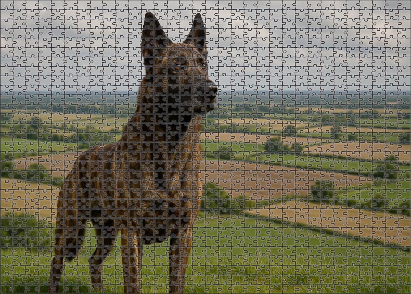Brindle Muse Striped Working Dog With Alert Expression 200 Piece Puzzle
