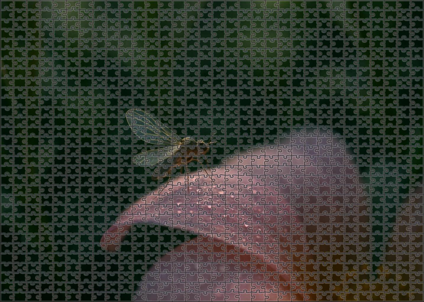 Glasswing Hopper Transparent Insect With Hyper-flexible Wings Custom Jigsaw Puzzle