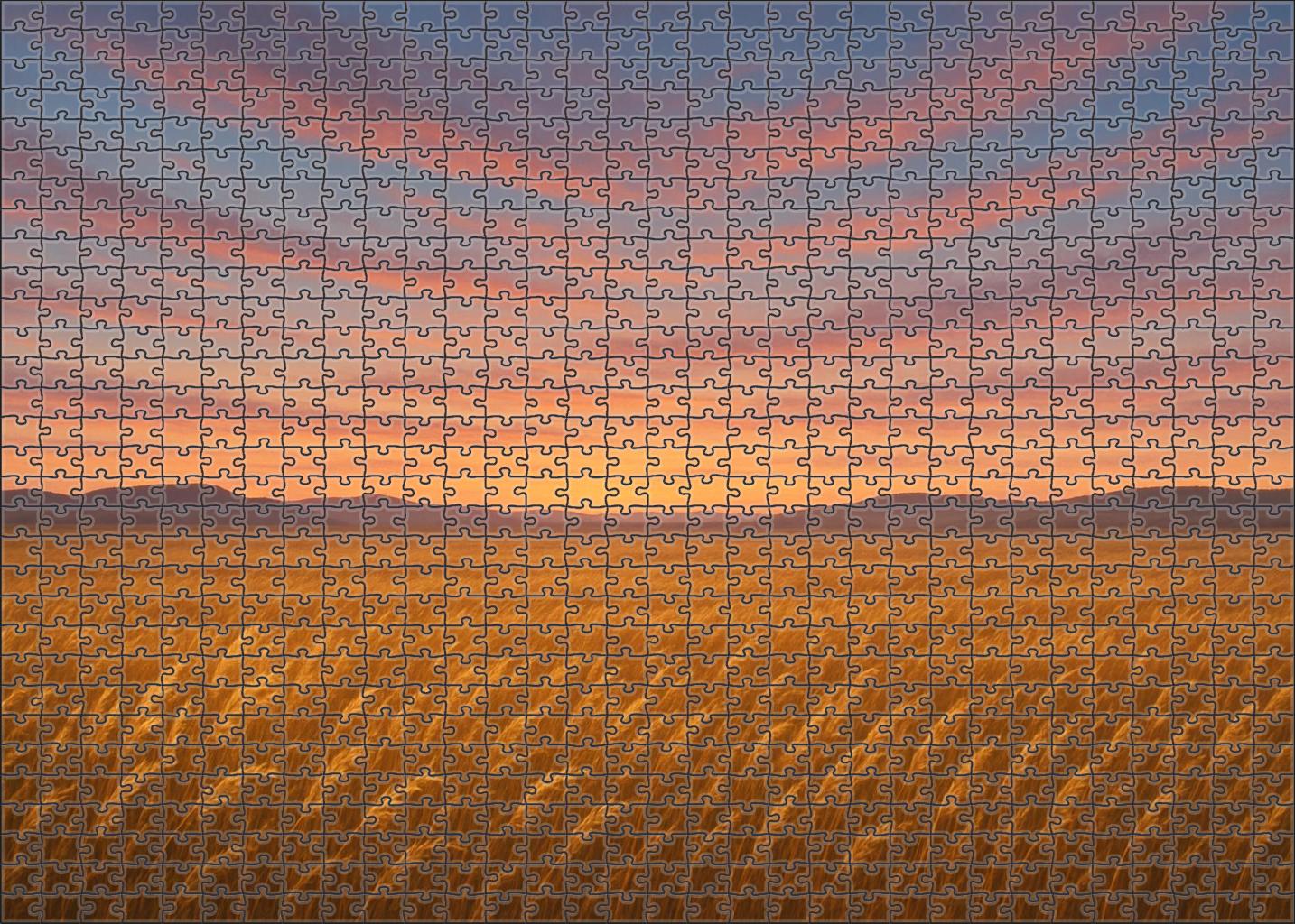 Amber Steppe Expanse Large Format Puzzle