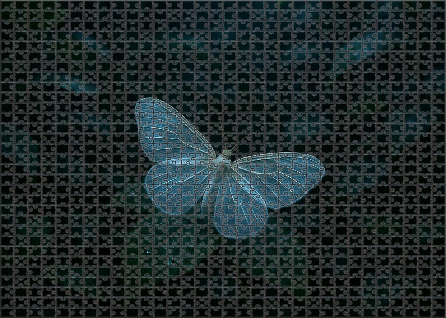 Opal Veil Moth Nocturnal Insect With Translucent Wings And Camouflage Puzzle Fun