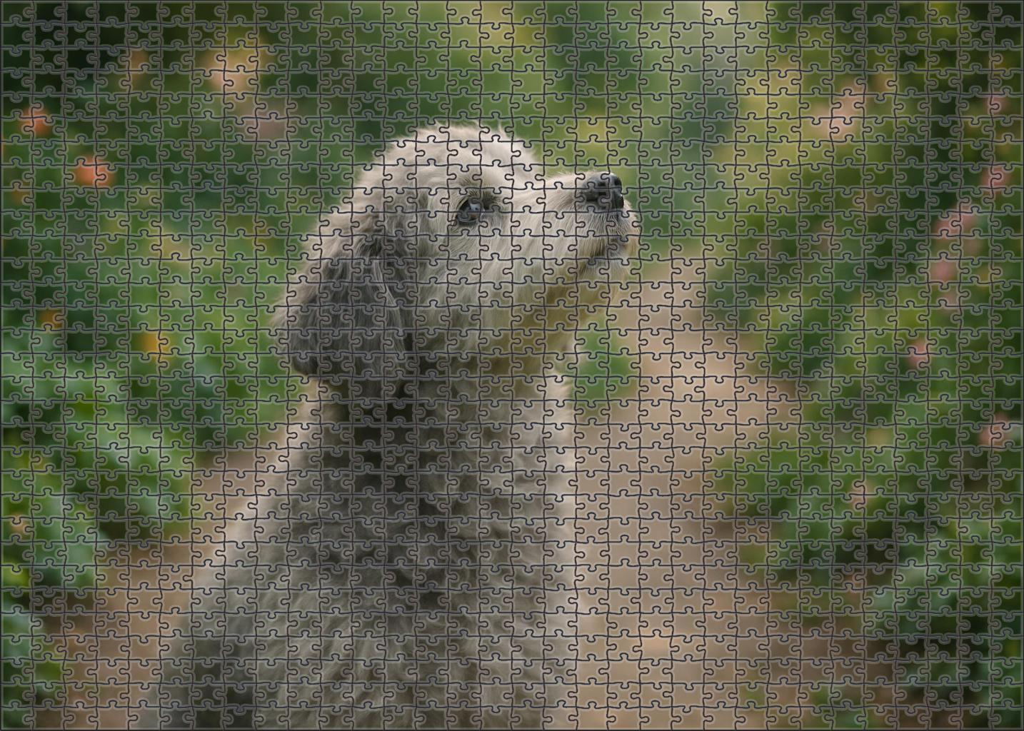 Cloud Whisper 20 Piece Puzzle