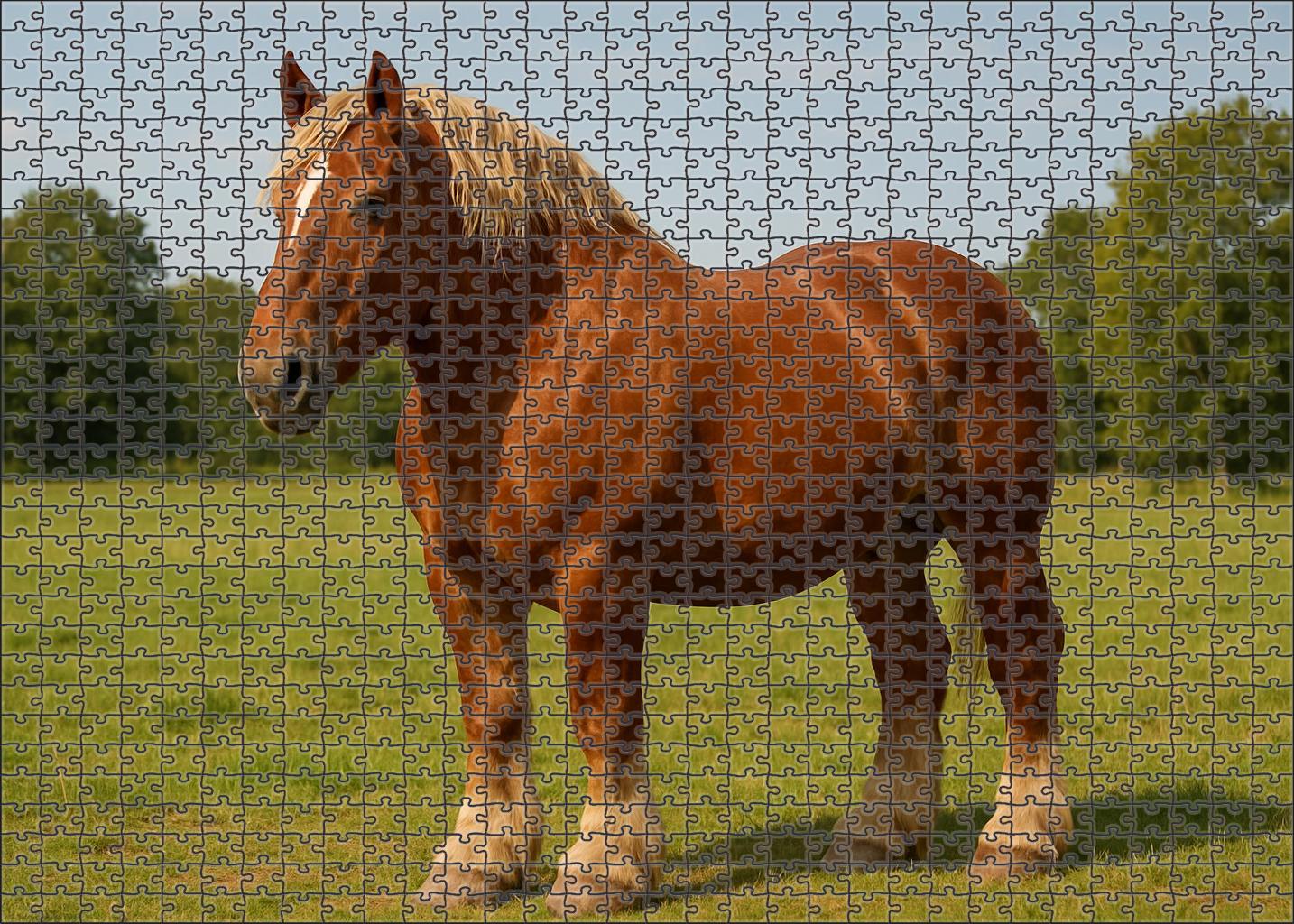Rustic Ember Robust Chestnut Draft Gelding With Gentle Demeanor 500 Piece Puzzle