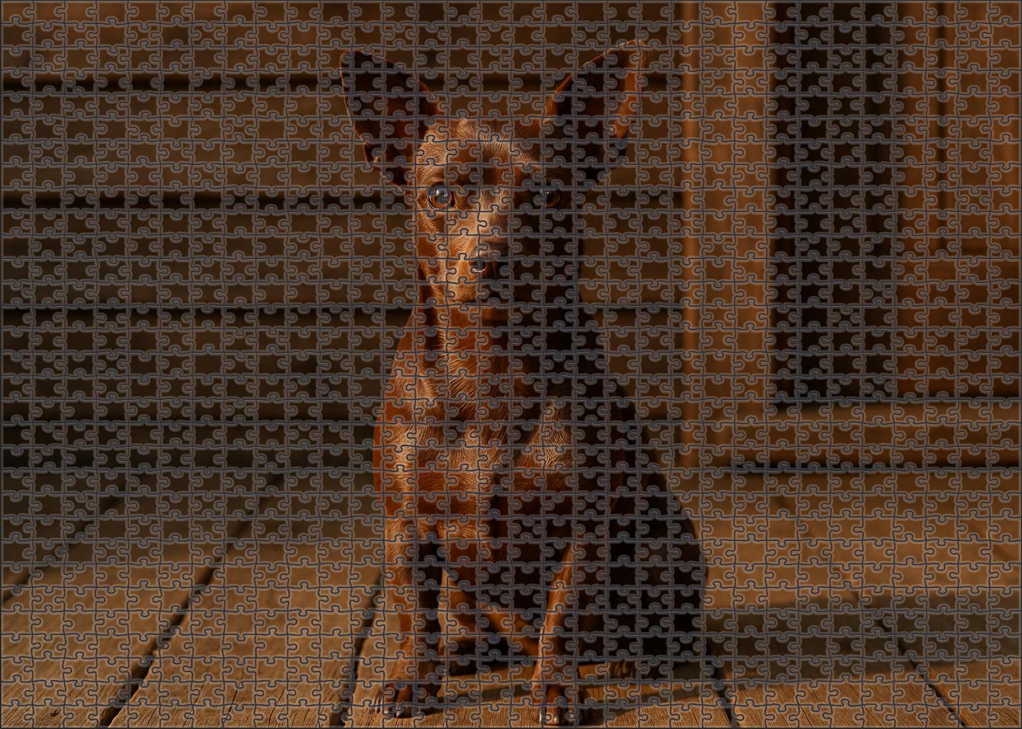 Velvet Bronze 20 Piece Puzzle