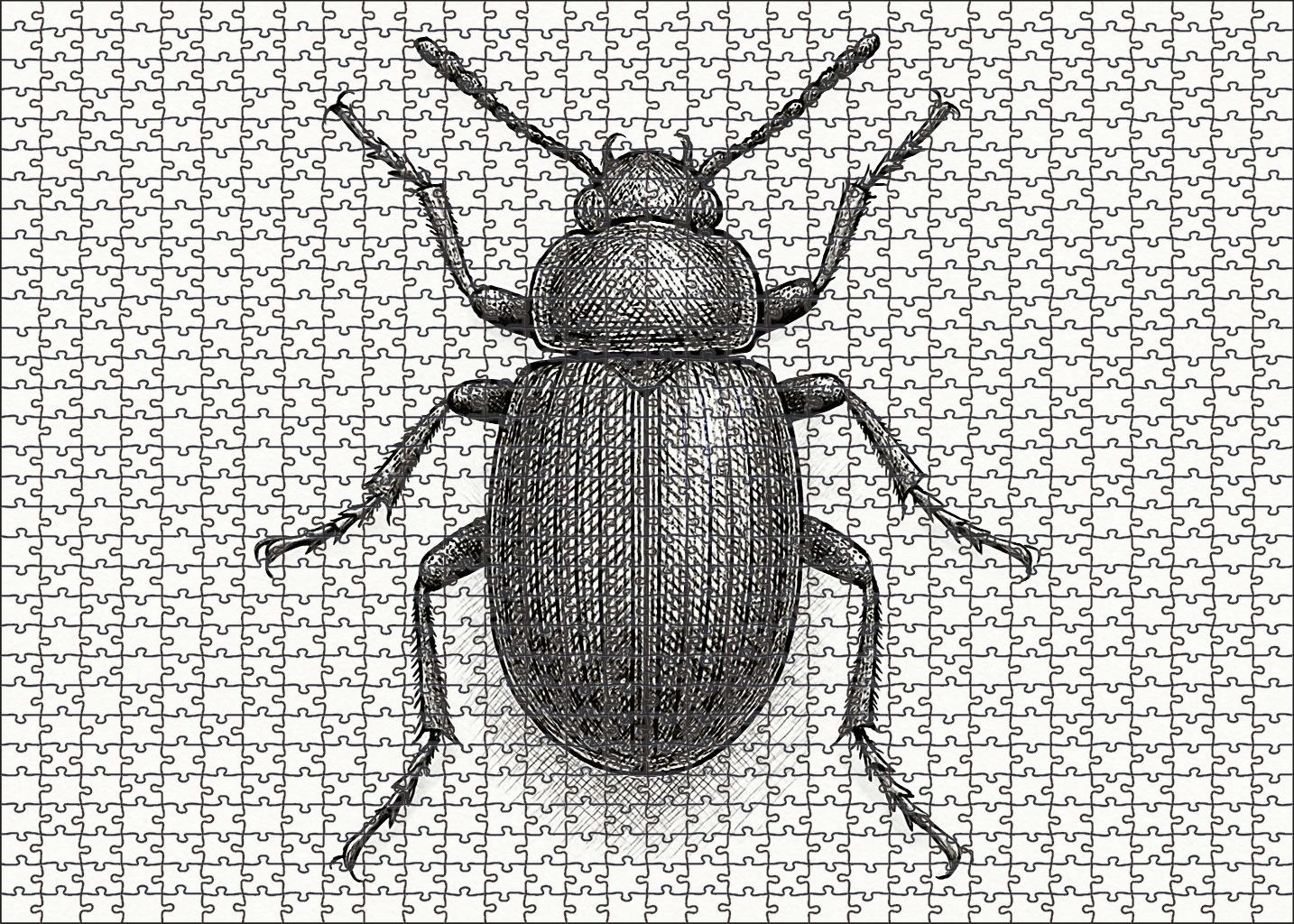 Delicate Insect Anatomy Detailed Pen And Ink Study Custom Jigsaw Puzzle