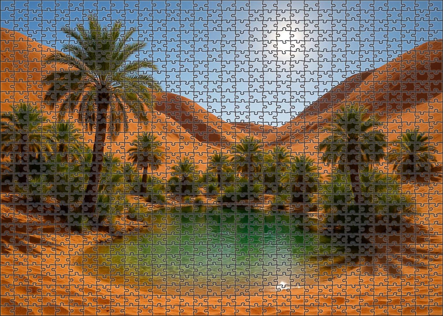 Amber Hollow Oasis Family Puzzles