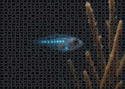 Moonveil Glimmerfish Small Deep Water Fish With Translucent Body And Bioluminescent Patterns 100 Piece Puzzle