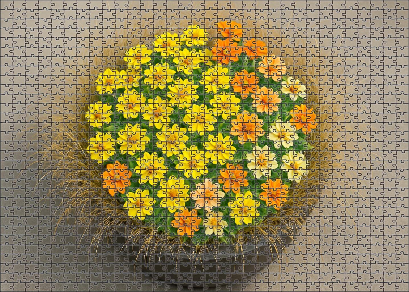 Golden Sunburst Planter 100 Piece Puzzle