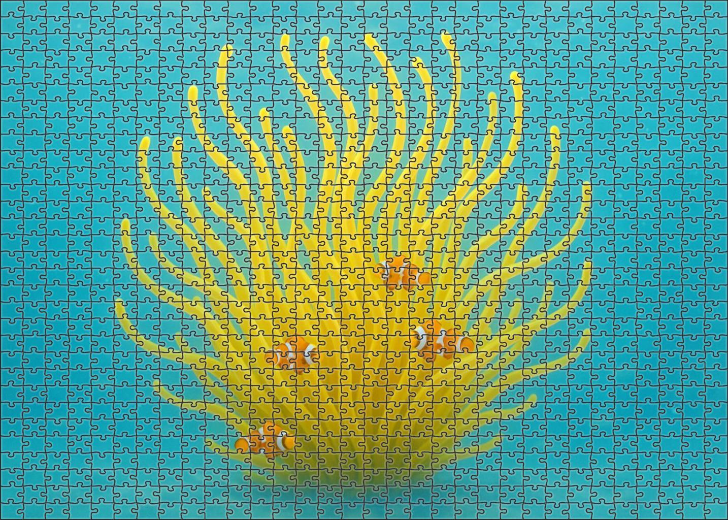 Golden Orb Anemone Radiant Tentacled Drifter With Symbiotic Clingfish 200 Piece Puzzle