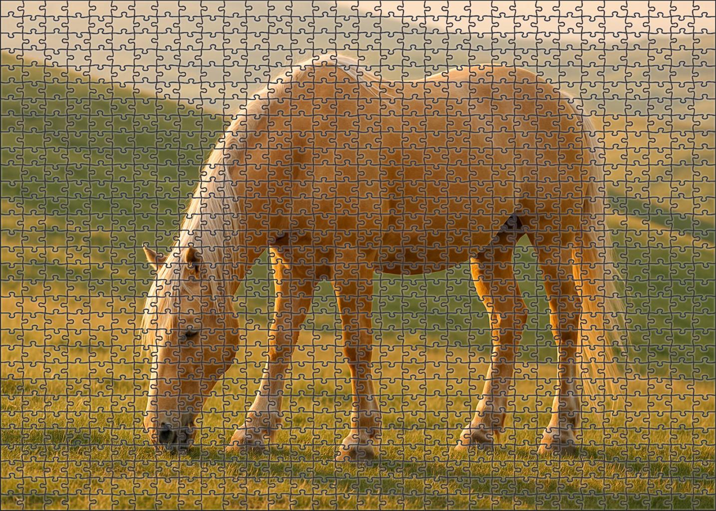 Frostwing Haflinger Mare Challenging Puzzles