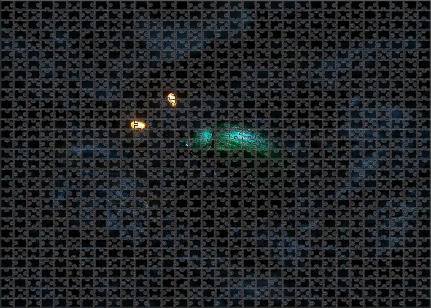 Topaz-tipped Antennae Beetle Nocturnal Forager With Jewel-like Sensory Organs Puzzle Collection