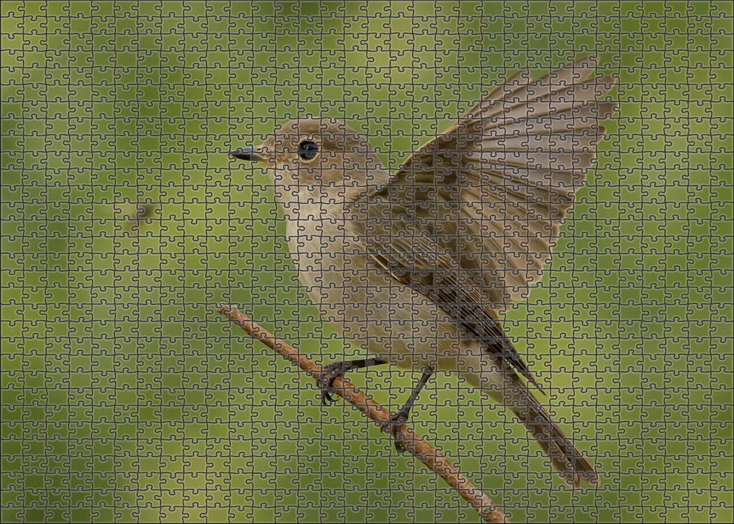 Spotted Flycatcher Subtle Skyhunter Custom Jigsaw Puzzle