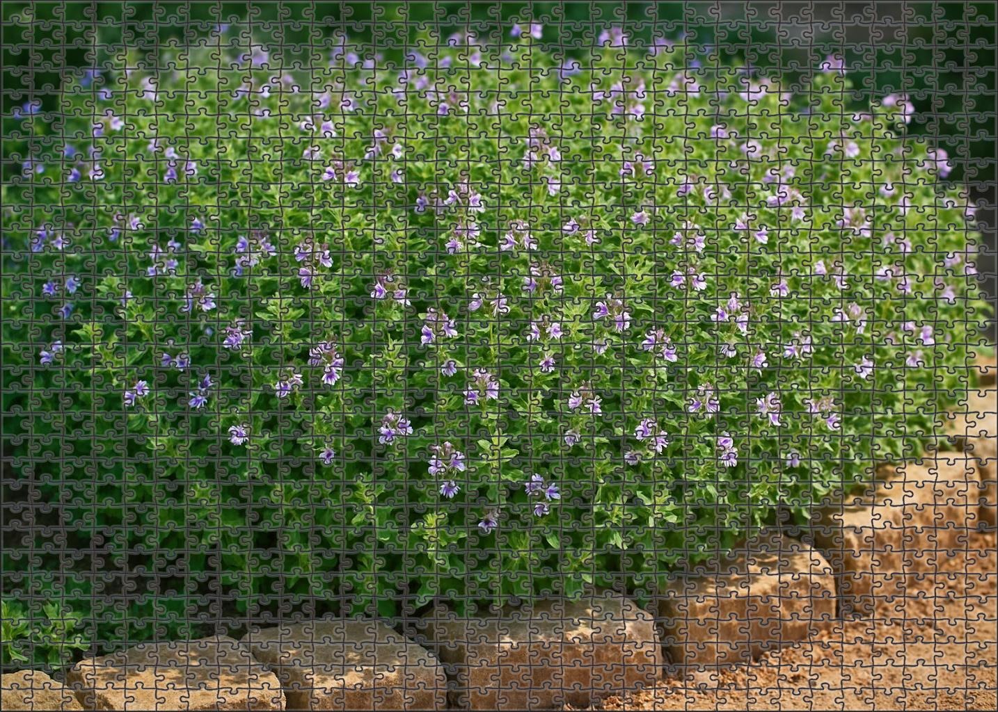 Rustic Herb Garden Bed Aromatic Greens With Blooming Highlights Family Puzzles