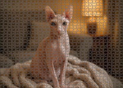Snow Drift Pure White Hairless Cat With Elegant Presence Challenging Puzzles