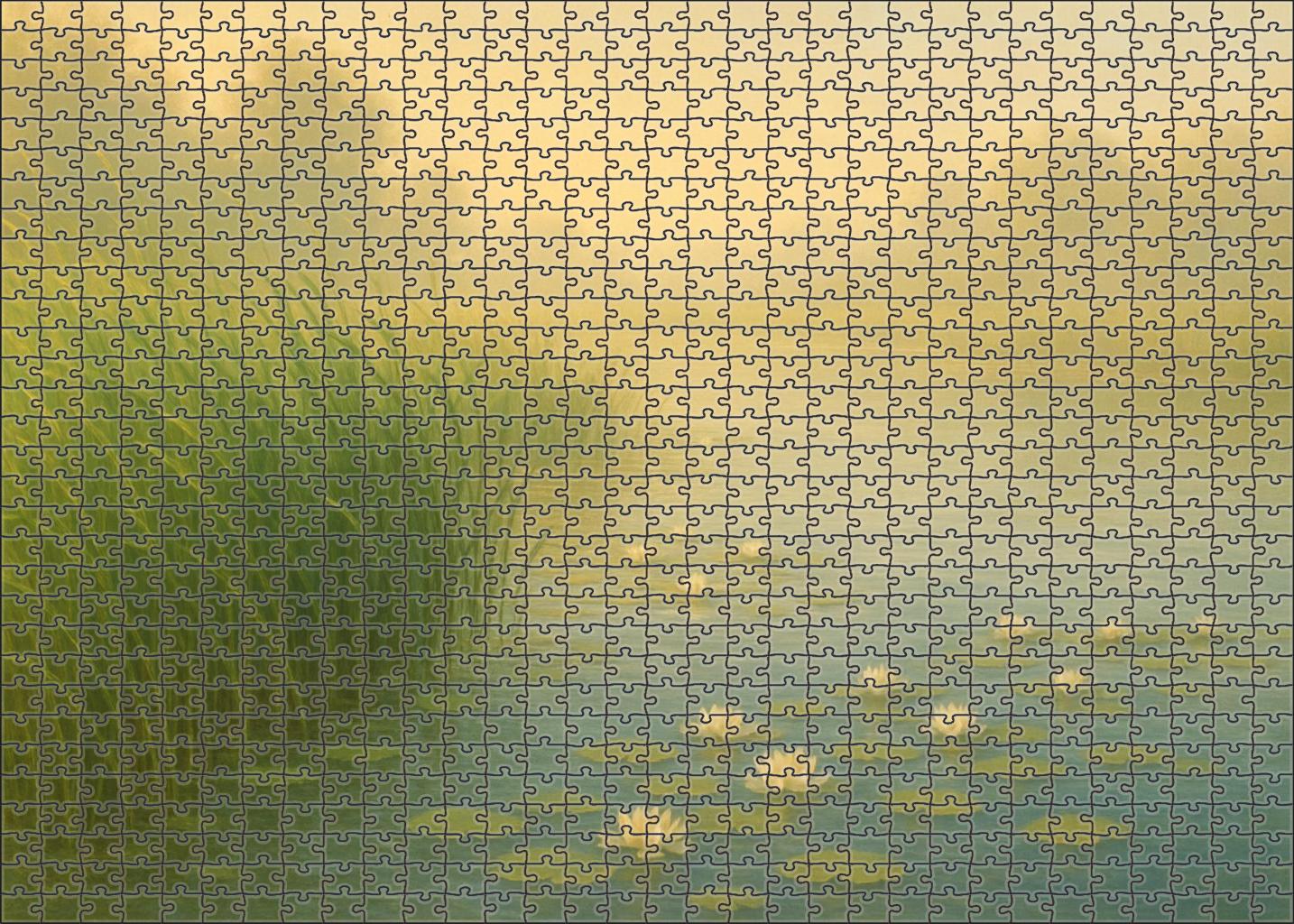 Sapphire Cove Wetland Unique Puzzle Design