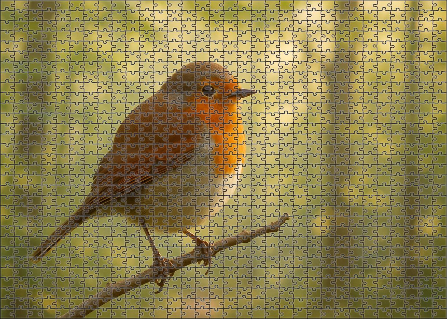 Chestnut-backed Chickadee Energetic Woodland Explorer Challenging Puzzles