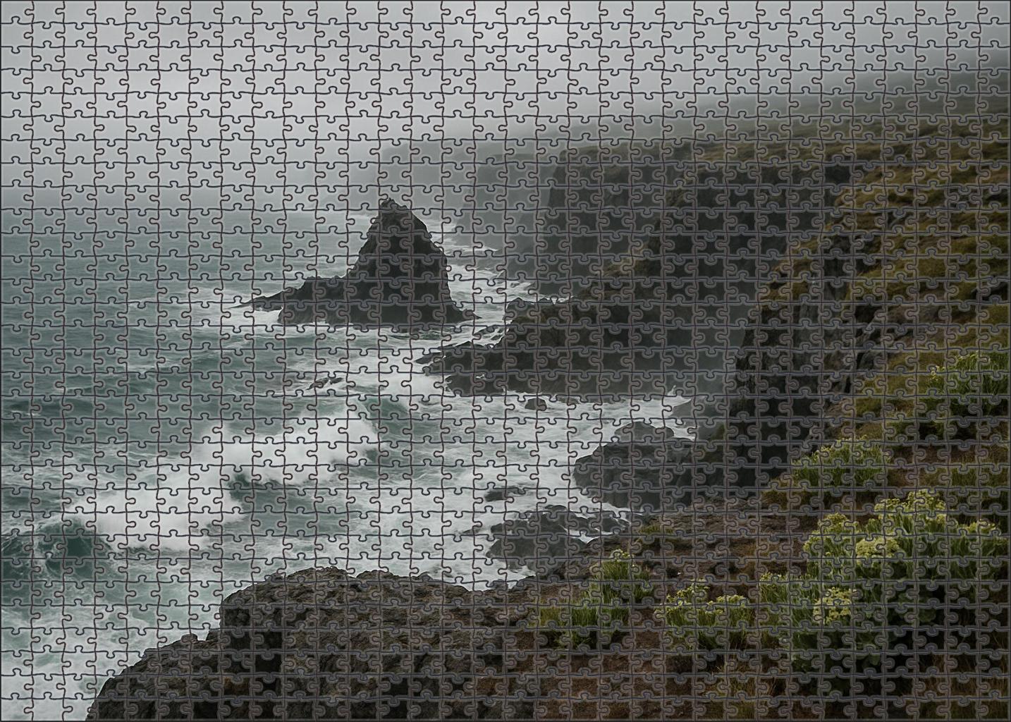 Ocean Mist Point Large Format Puzzle