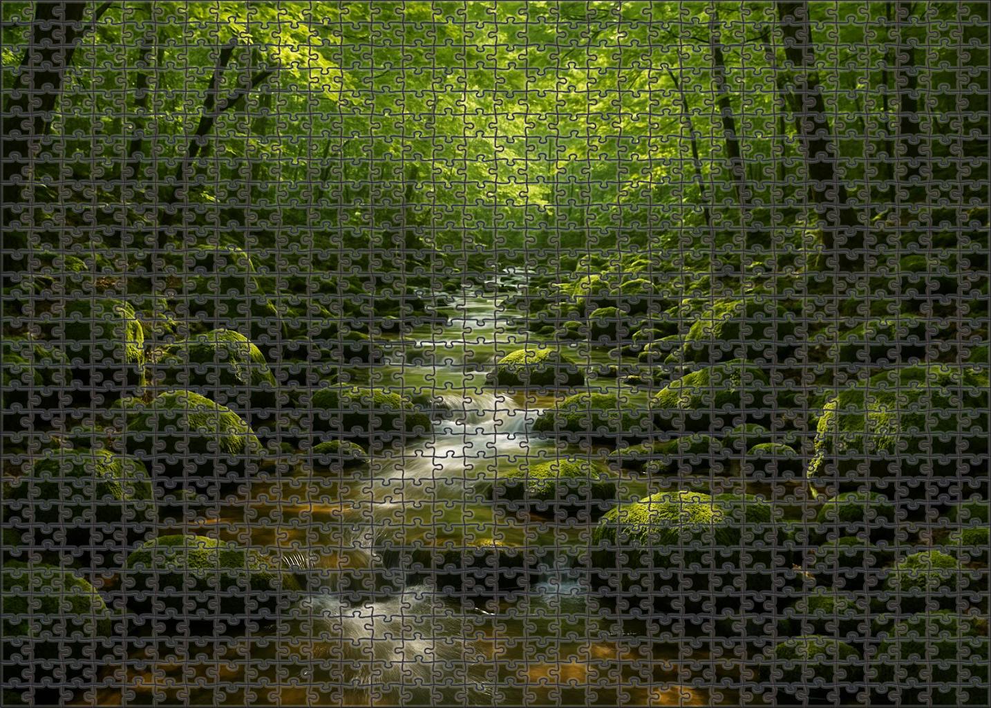 Hidden Forest Stream Easy Puzzles