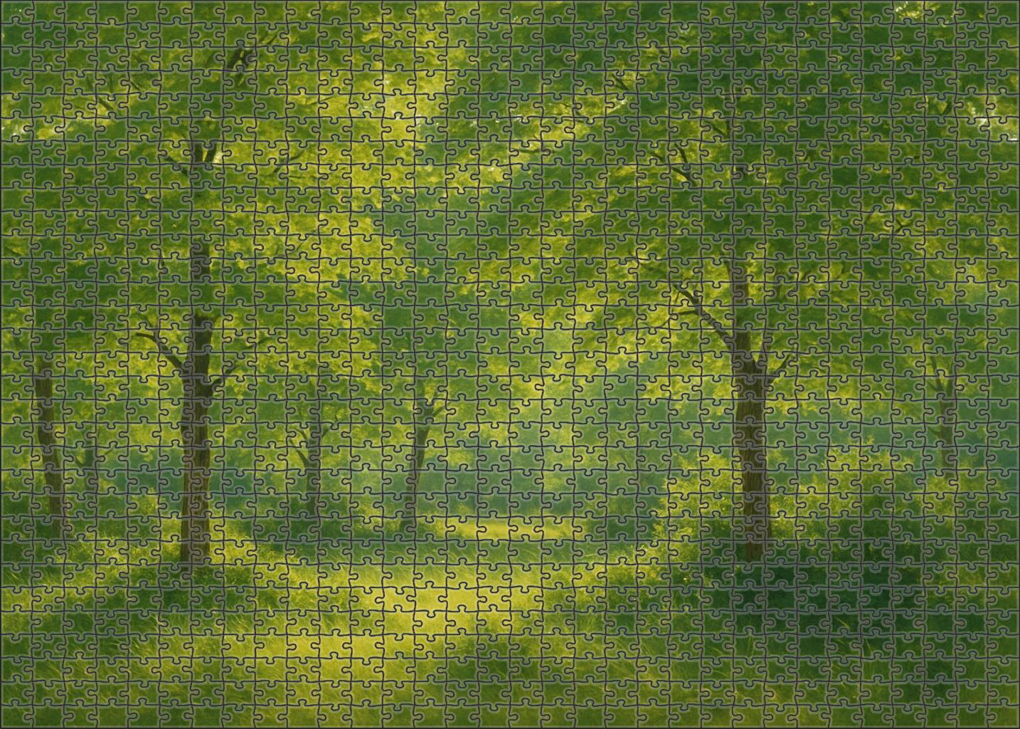 Emerald Breeze Woods Unique Puzzle Design