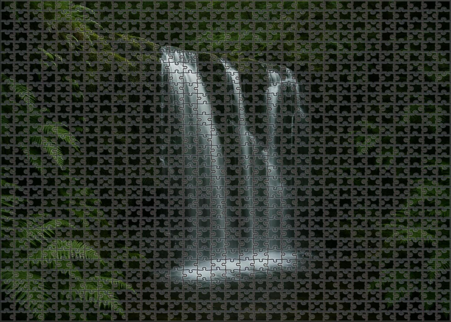 Shadowed Moss Curtain Challenging Puzzles