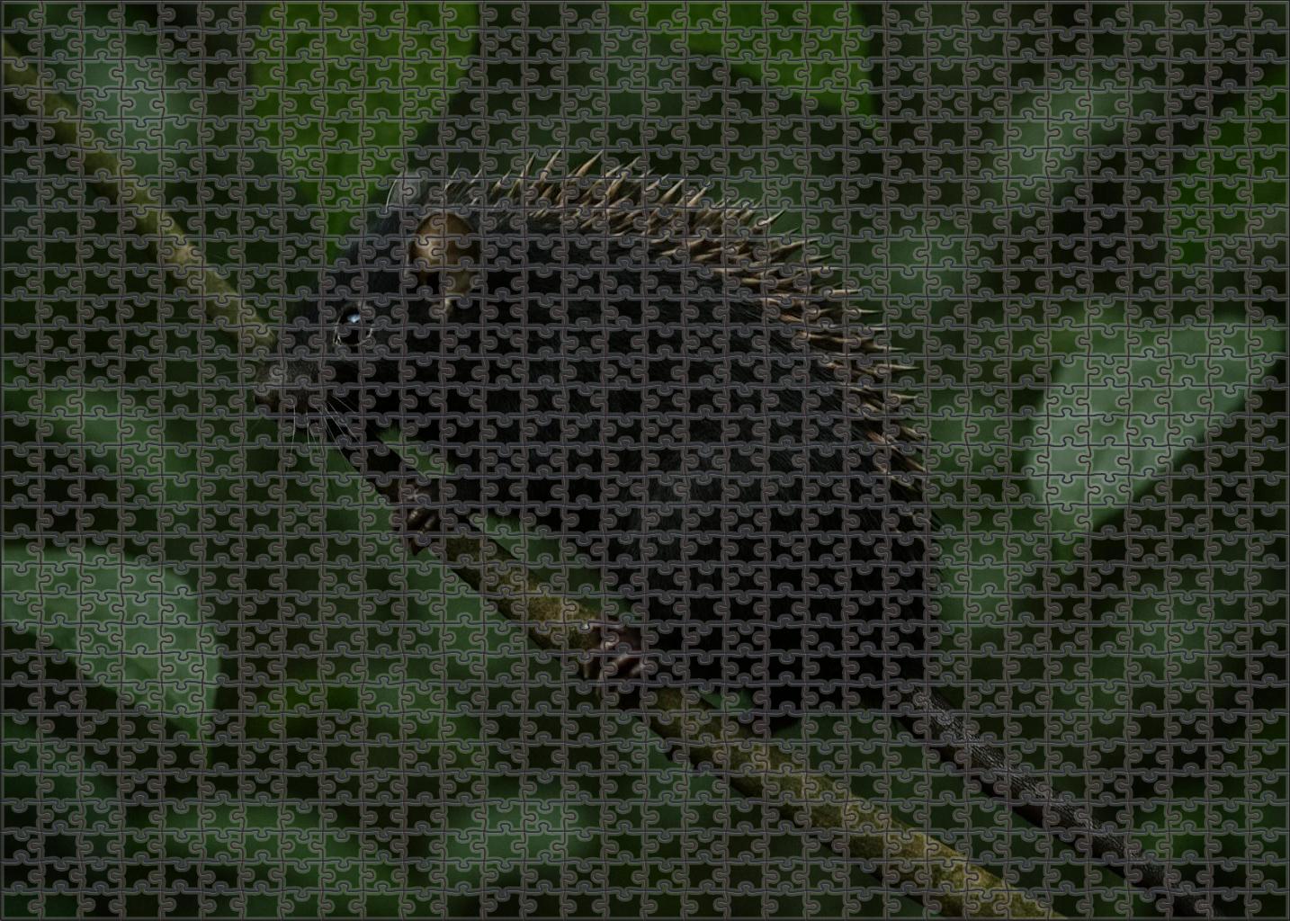 Velvet-spined Tree Rodent Agile Climber With Soft Dark Fur Puzzle Fun