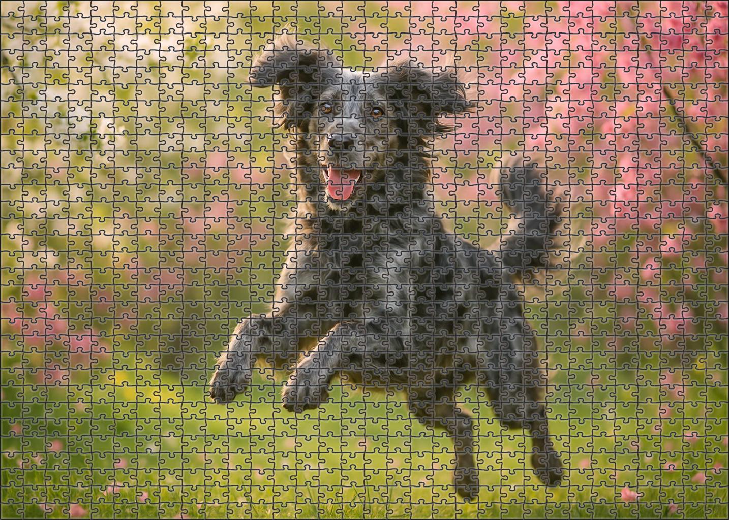 Silver Dapple Puzzle For Kids
