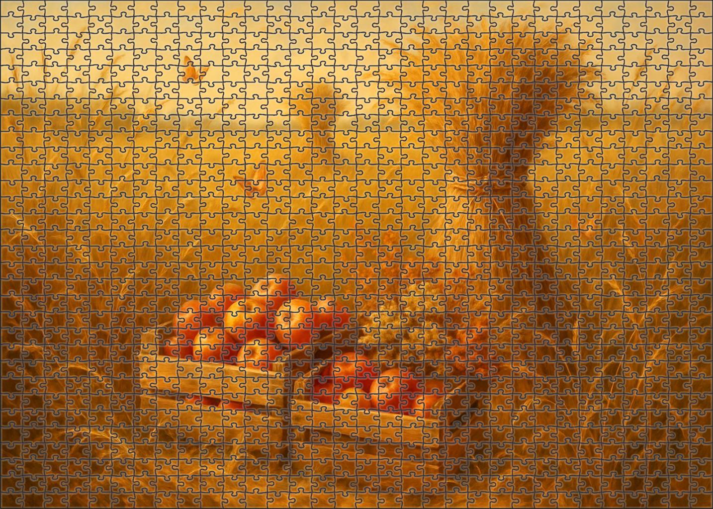 Golden Prairie Afternoon Puzzle Collection