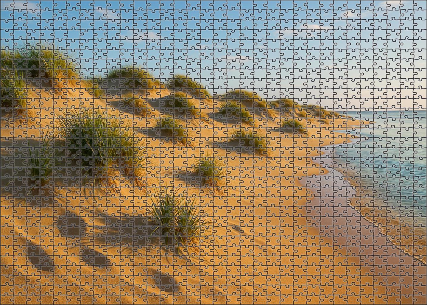 Tranquil Dunes Sanctuary 100 Piece Puzzle