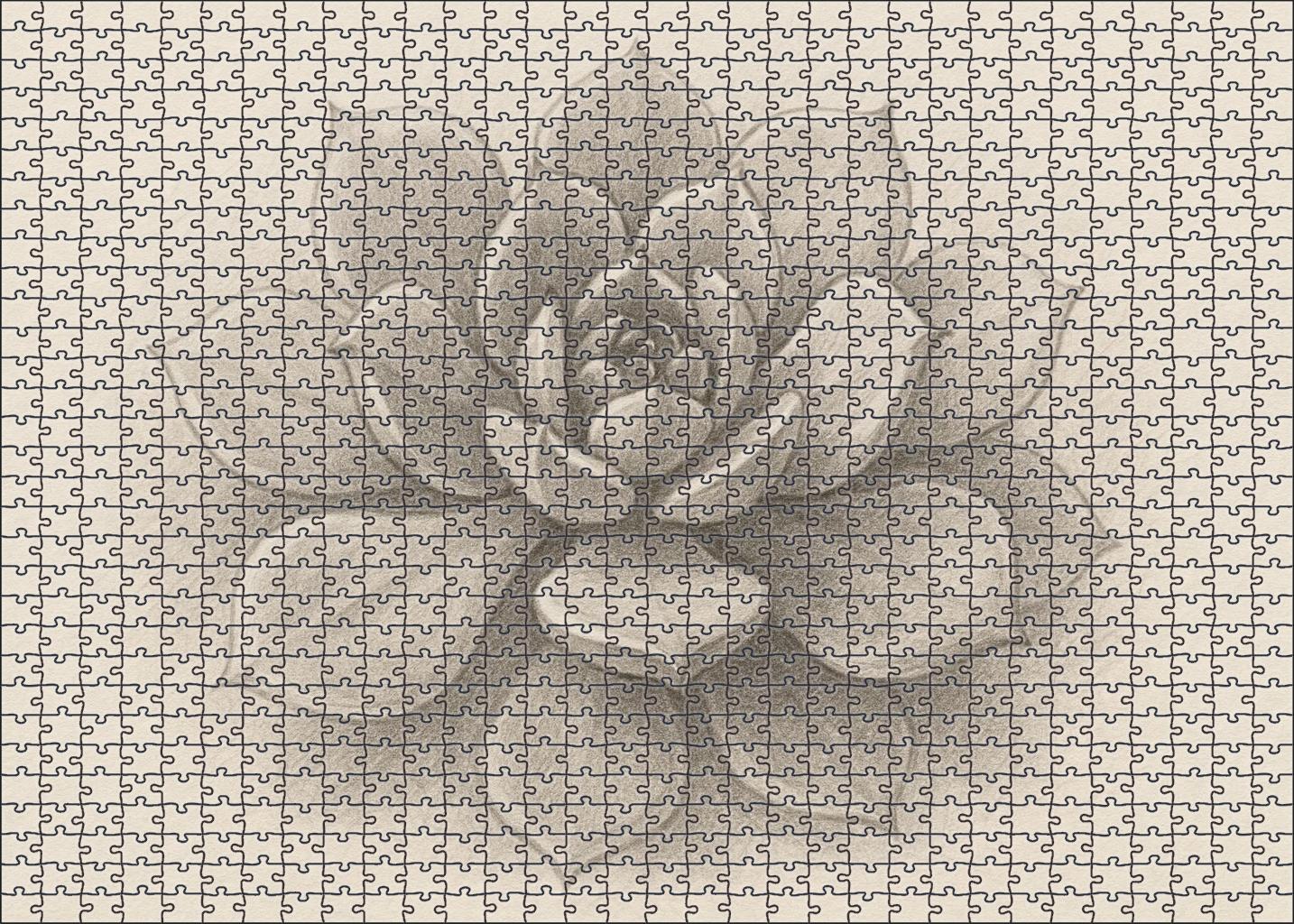 Botanical Portrait Of Succulent Growth Soft Graphite Rendering With Layered Shading 1000 Piece Puzzle