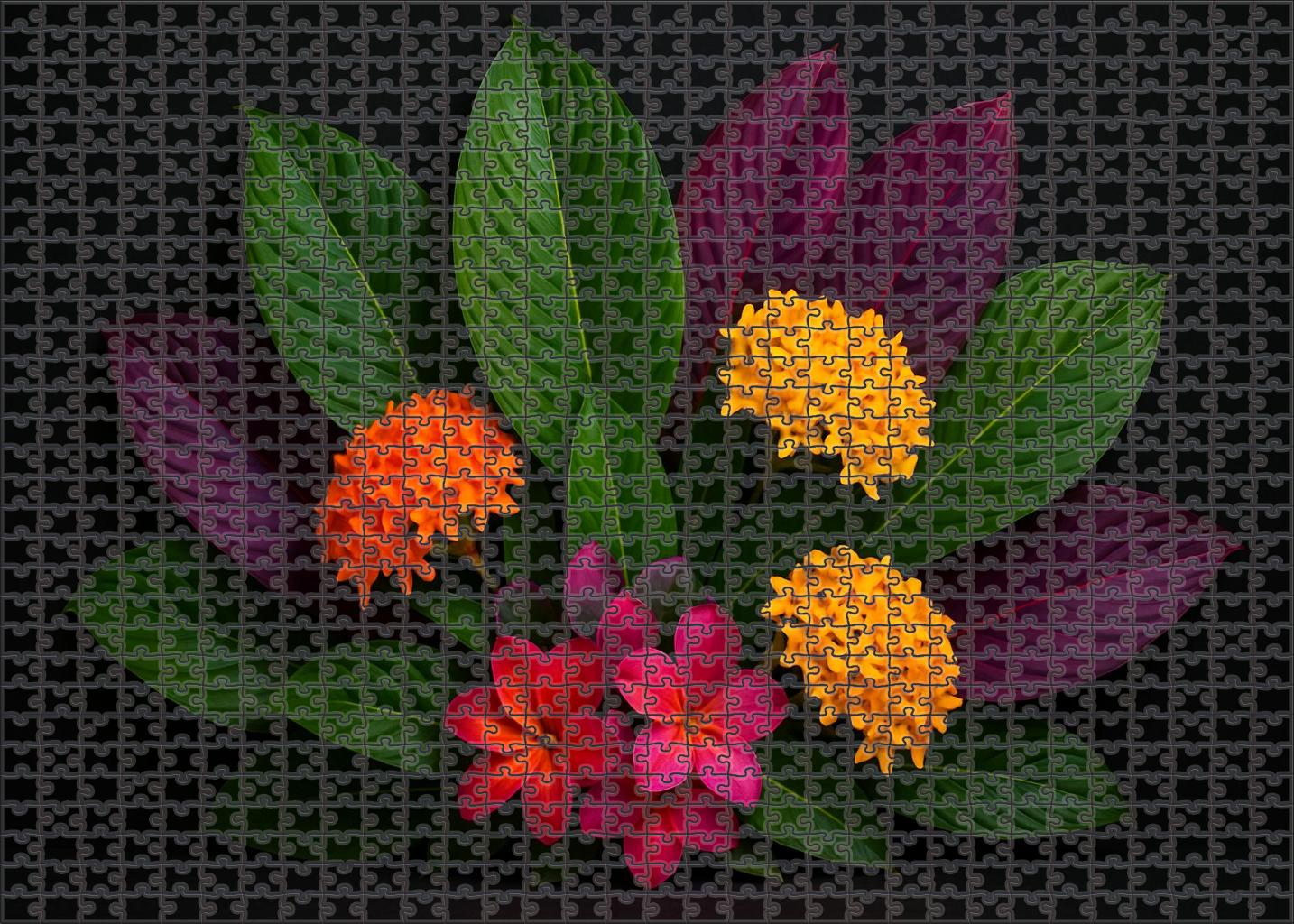 Tropical Foliage Explosion Family Puzzles