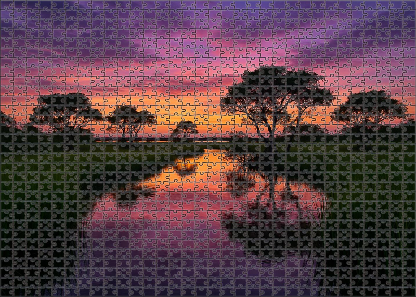 Twilight Coastal Marsh Easy Puzzles