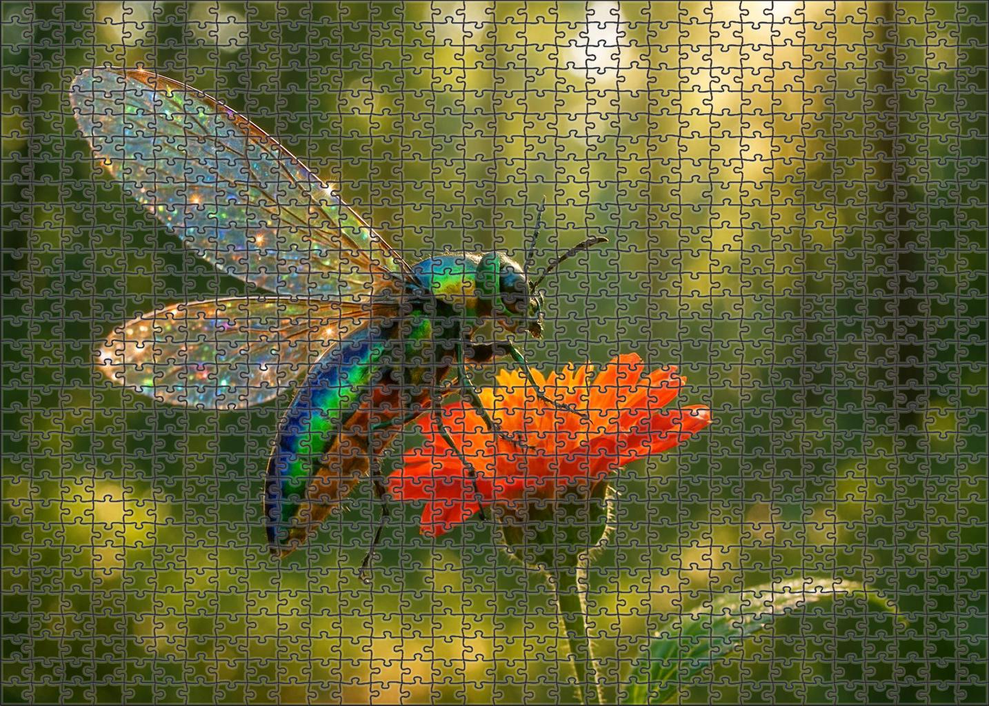 Silkwing Harvester Insect With Iridescent Wings And Complex Nesting Habits Puzzle Fun