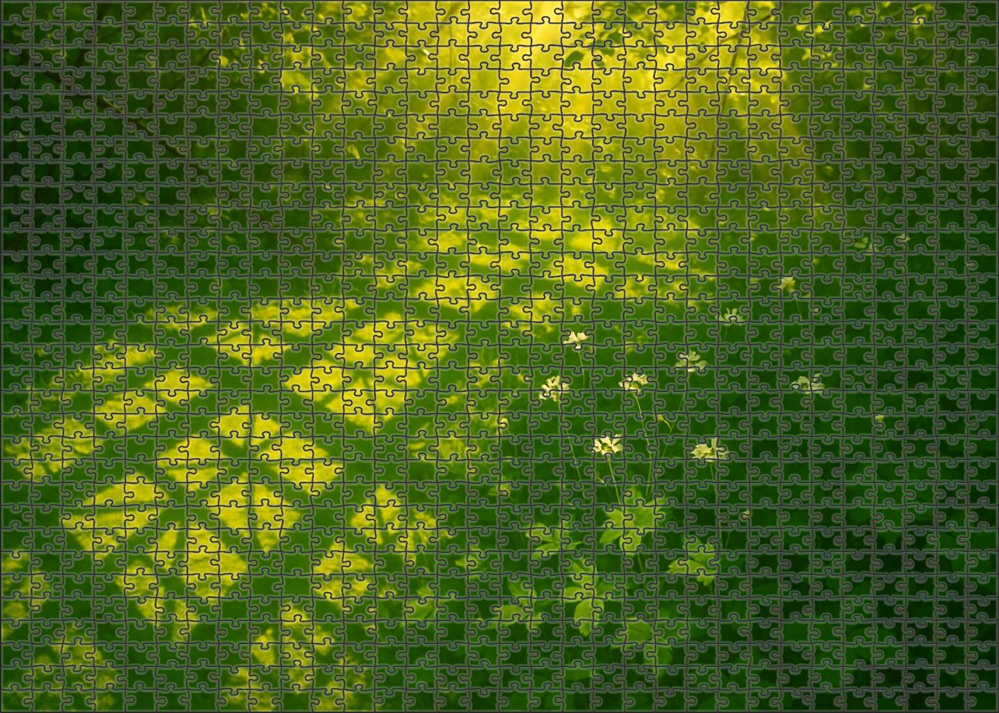 Sunlit Leaf Lattice Puzzle Collection