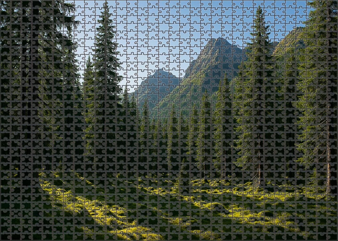 Shadow Ridge Forest Custom Jigsaw Puzzle