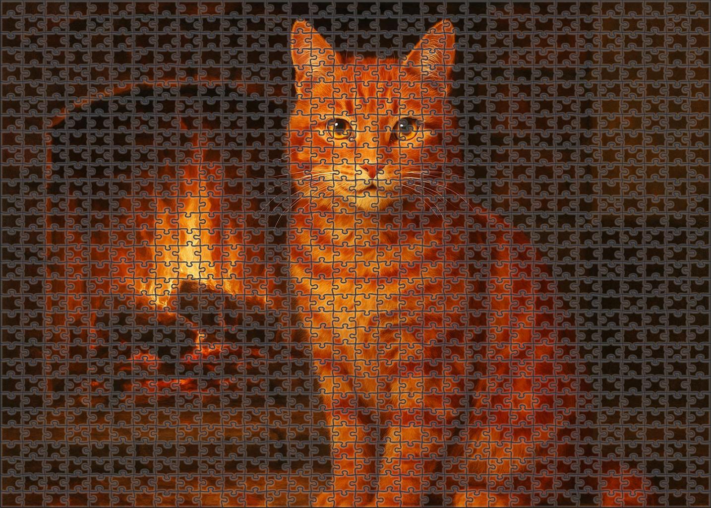 Copper Maple Rustic Red Tabby With Warm Personality Unique Puzzle Design