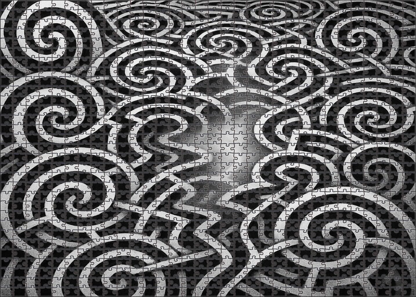 Labyrinth Of Endless Questions 50 Piece Puzzle