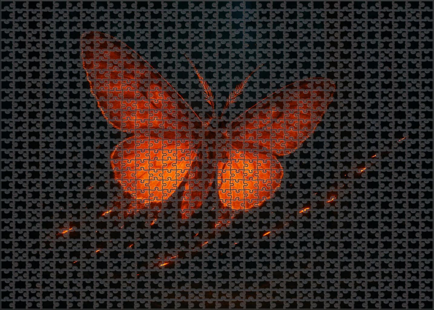 Emberveil Moth Night Flyer With Burning Silken Wings Easy Puzzles